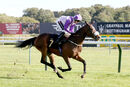 Race 2 - Secret Shadow (8)