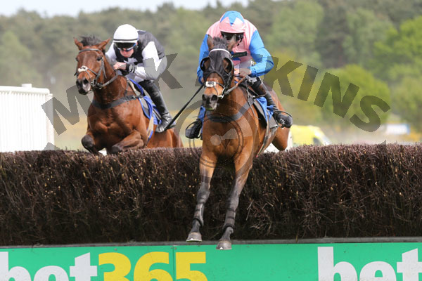 Race 2 - Shady Glen (5)