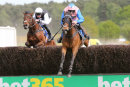 Race 2 - Shady Glen (5)