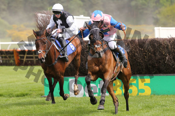 Race 2 - Shady Glen (8)