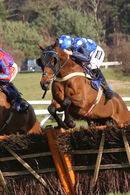 Race 2 - Shanroe Tic Tec (4)