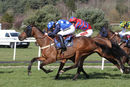 Race 2 - Shanroe Tic Tec (5)