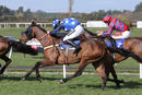 Race 2 - Shanroe Tic Tec (7)
