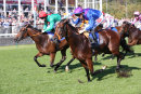 Race 2 - She Can Boogie (10)