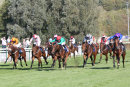 Race 2 - She Can Boogie (3)