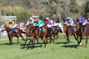 Race 2 - She Can Boogie (4)