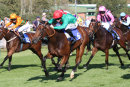 Race 2 - She Can Boogie (5)
