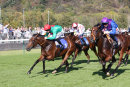 Race 2 - She Can Boogie (8)