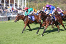 Race 2 - She Can Boogie (9)