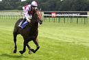 Race 2 - Sir Boris (5)
