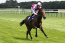 Race 2 - Sir Boris (6)