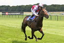 Race 2 - Sir Boris (7)