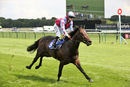 Race 2 - Sir Boris (9)