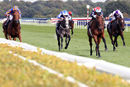 Race 2 - Sir Dancealot (2)