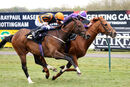 Race 2 - Sir Rumi (10)