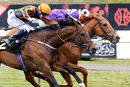 Nottingham Races (27 Apr 21)