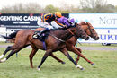 Race 2 - Sir Rumi (12)