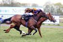Race 2 - Sir Rumi (13)