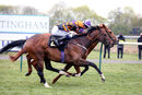 Race 2 - Sir Rumi (14)