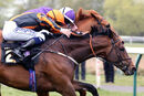 Race 2 - Sir Rumi (15)