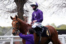 Race 2 - Sir Rumi (16)