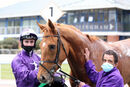 Race 2 - Sir Rumi (17)