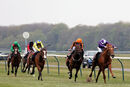 Race 2 - Sir Rumi (3)