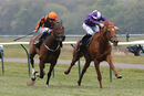 Race 2 - Sir Rumi (5)