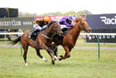 Race 2 - Sir Rumi (8)