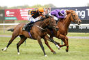 Race 2 - Sir Rumi (9)