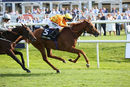 Race 2 - Sleeping Lion (3)
