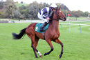 Race 2 - So I Told You (2)