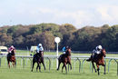 Race 2 - So I Told You (3)