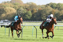 Race 2 - So I Told You (4)