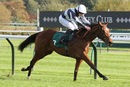 Race 2 - So I Told You (5)