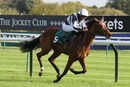 Race 2 - So I Told You (6)
