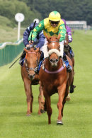 Race 2 - Socialites Red (6)