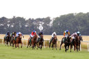 Race 2 - Sootability (3)
