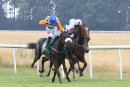Race 2 - Sootability (4)