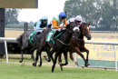 Race 2 - Sootability (5)