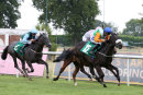 Race 2 - Sootability (6)
