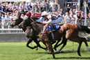 Race 2 - Spring Romance (10)