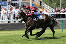 Race 2 - Spring Romance (5)