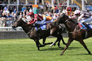 Race 2 - Spring Romance (7)