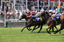 Race 2 - Spring Romance (8)