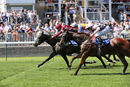 Nottingham Races (27 June 19)