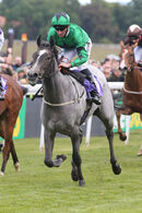 Race 2 - Star Of Lady M (5)