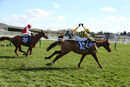Race 2 - State Man (7)