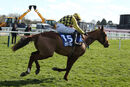 Race 2 - State Man (8)