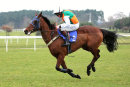 Race 2 - Stoical Patient (7)